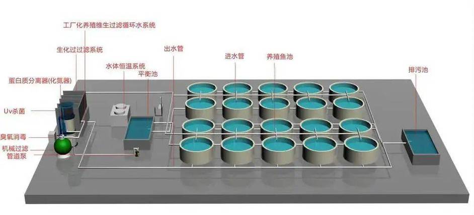 家庭小型水产养殖模式有哪些关键点？-第2张图片-宁夏农业信息网