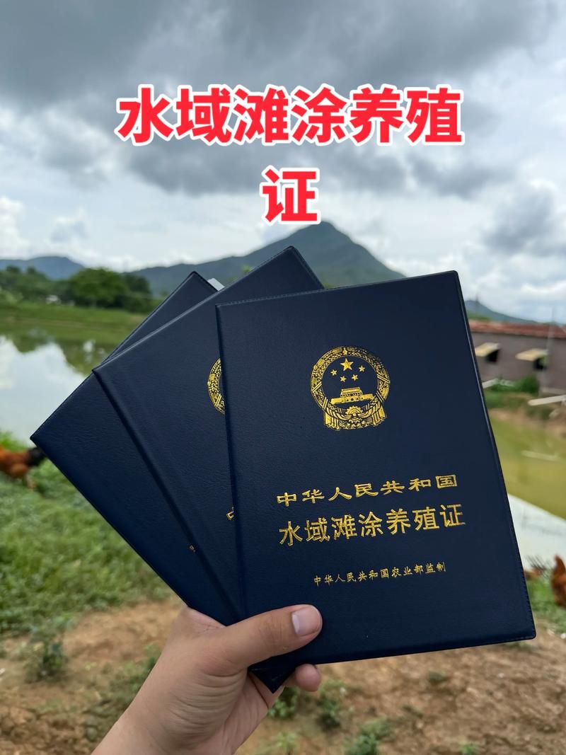 水产养殖滩涂费用怎么算？-第1张图片-宁夏农业信息网