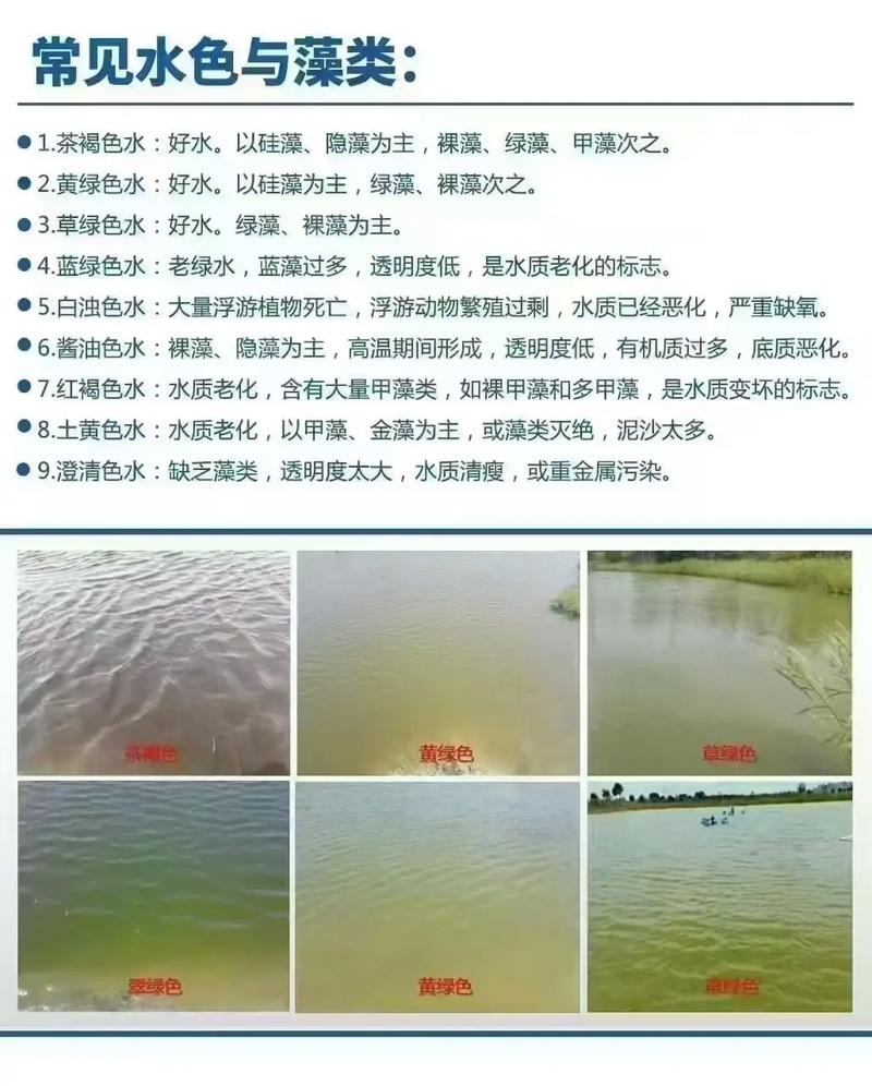 水产养殖怎么分辨水质-第1张图片-宁夏农业信息网