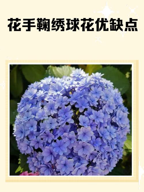 绣球花小品种有哪些？-第3张图片-宁夏农业信息网