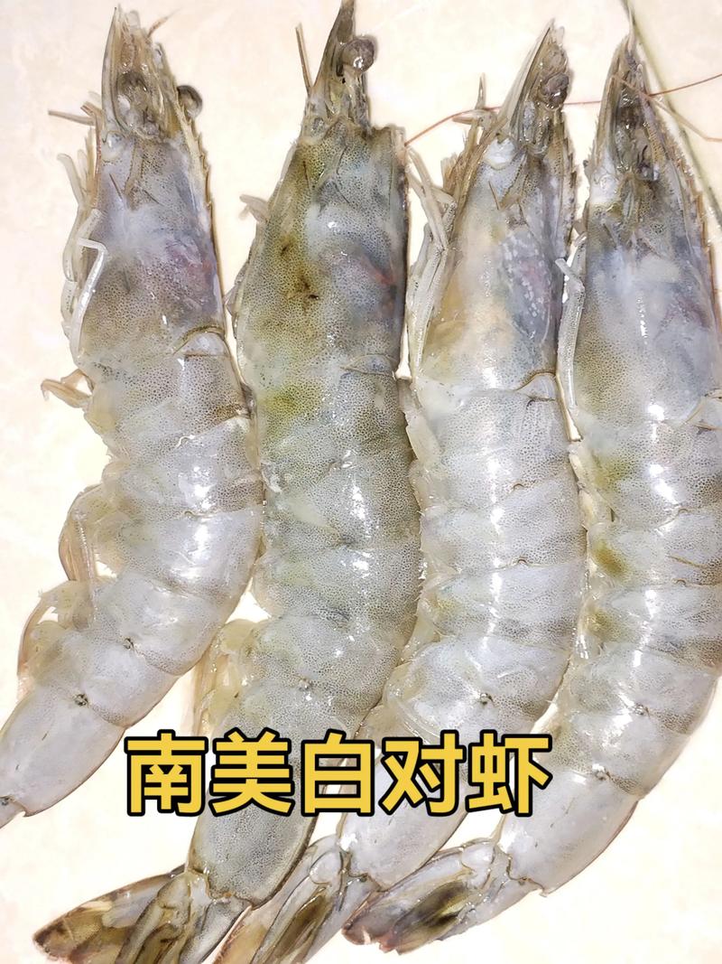 南美白虾只是一个品种-第1张图片-宁夏农业信息网