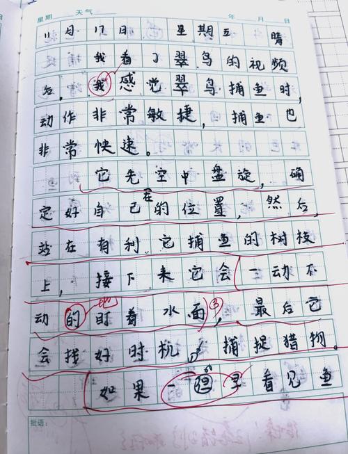 水产养殖暑期实践日记有何收获？-第1张图片-宁夏农业信息网