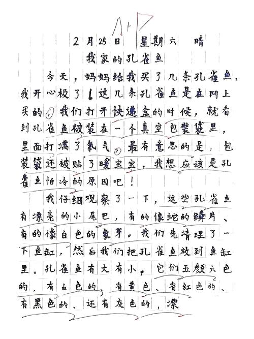 水产养殖暑期实践日记有何收获？-第2张图片-宁夏农业信息网