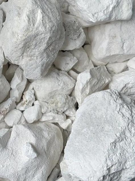 猪场消毒药如何选？用量多少才合适？-第2张图片-宁夏农业信息网