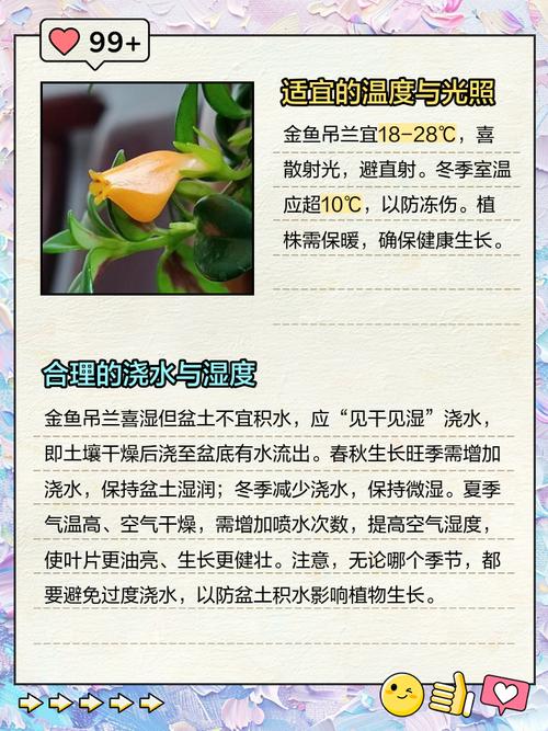 金鱼吊兰怎么养出口红效果？-第1张图片-宁夏农业信息网