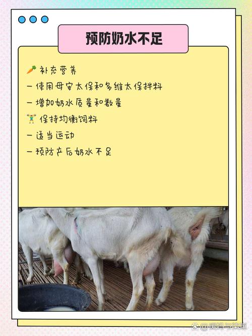 母羊产后瘫痪如何有效治疗？-第2张图片-宁夏农业信息网