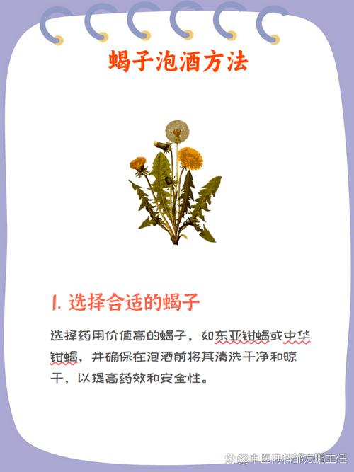 蝎子泡酒前需如何处理？-第2张图片-宁夏农业信息网