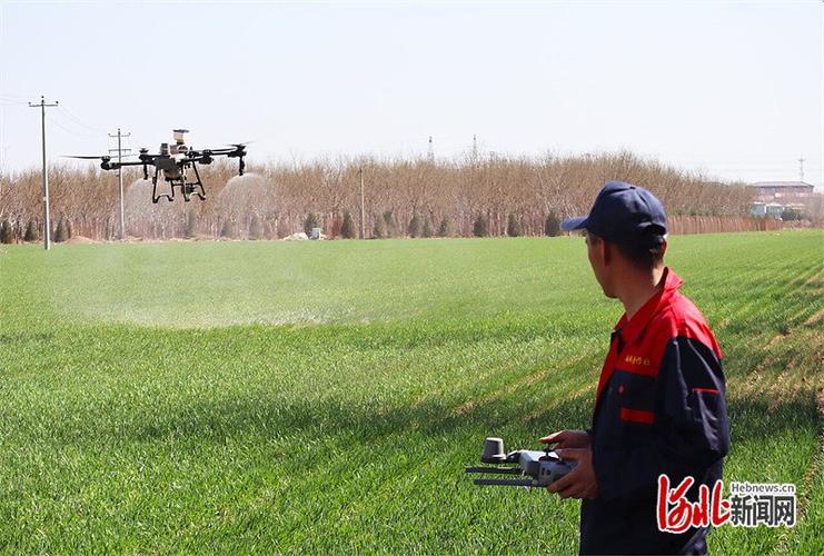 农用喷药无人机到底好不好用？-第2张图片-宁夏农业信息网