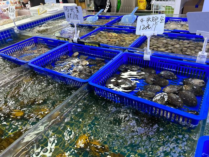 宁波水产海鲜出租转让靠谱吗？-第2张图片-宁夏农业信息网