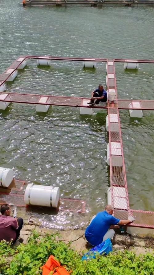 农村水产养殖图片有哪些常见品种？-第2张图片-宁夏农业信息网