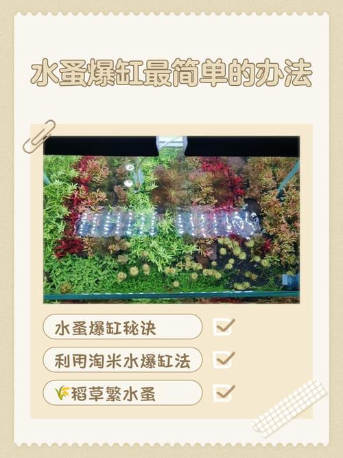 水产杀虫哪种方法效果最好？-第3张图片-宁夏农业信息网