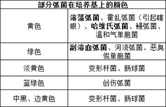 水产如何快速精准检测荧光弧菌？-第2张图片-宁夏农业信息网