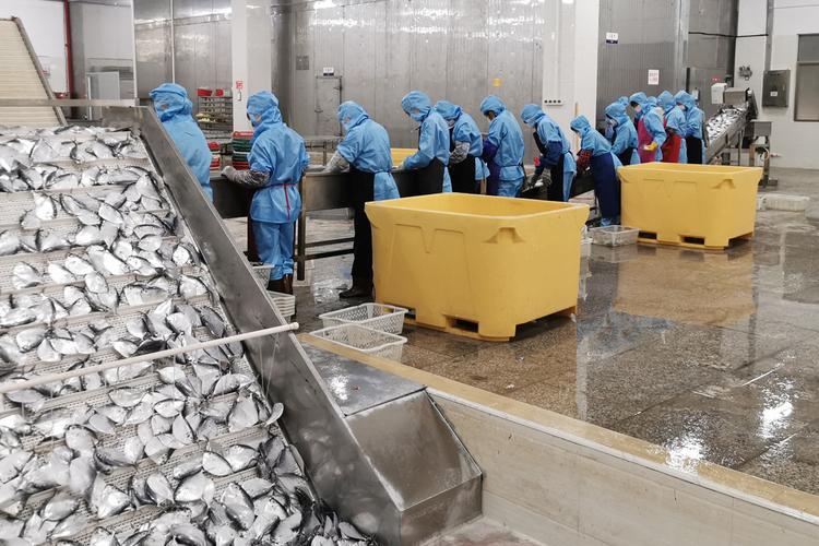 济宁速冻水产商贸公司-第3张图片-宁夏农业信息网