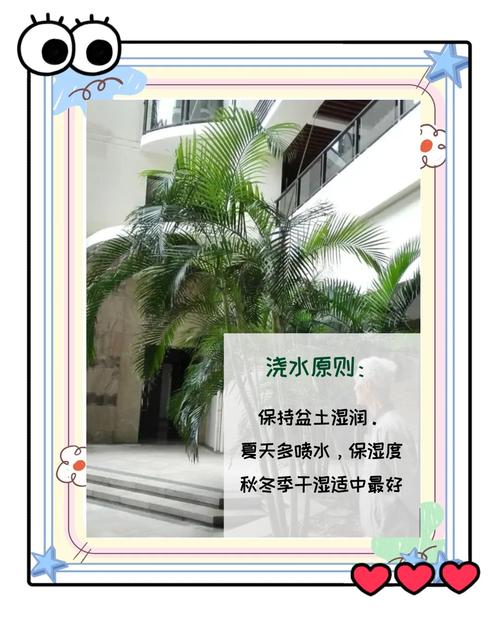 散尾葵病害多？防治方法有哪些？-第2张图片-宁夏农业信息网