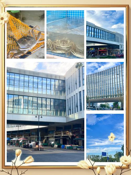 高淳水产市场217号有何特别之处？-第2张图片-宁夏农业信息网