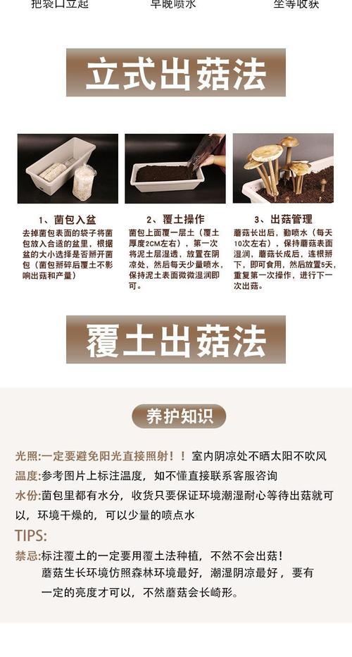 各种蘑菇种植方法视频，怎么学？-第2张图片-宁夏农业信息网