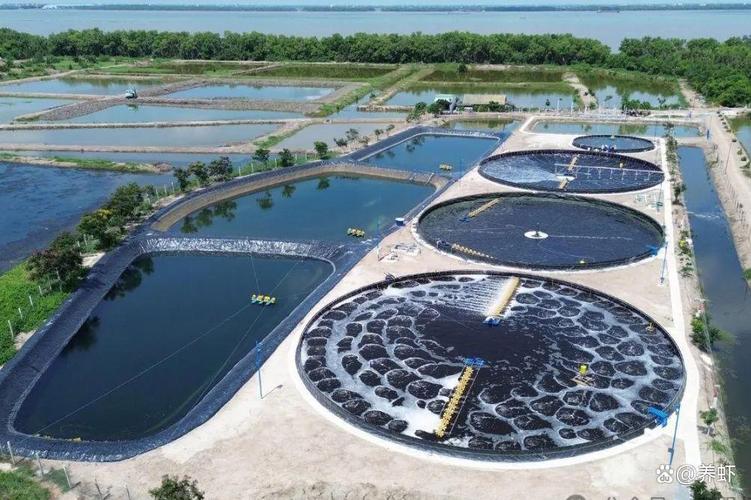 水产养殖生态文明建设如何推进？-第1张图片-宁夏农业信息网