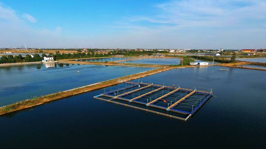 重庆水产养殖鱼塘如何高效建设？-第2张图片-宁夏农业信息网