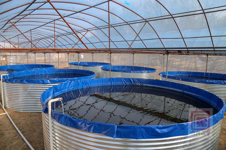 重庆水产养殖鱼塘如何高效建设？-第3张图片-宁夏农业信息网