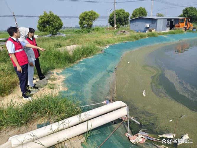 镇江丹阳水产养殖现状如何？-第1张图片-宁夏农业信息网