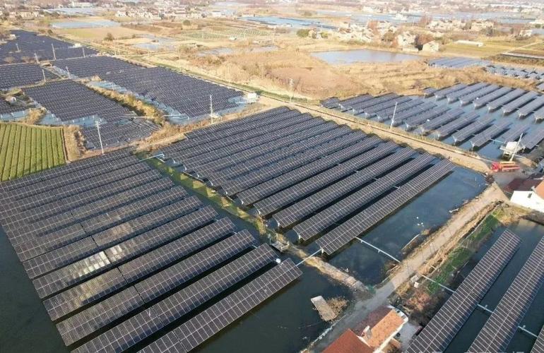 镇江丹阳水产养殖现状如何？-第3张图片-宁夏农业信息网