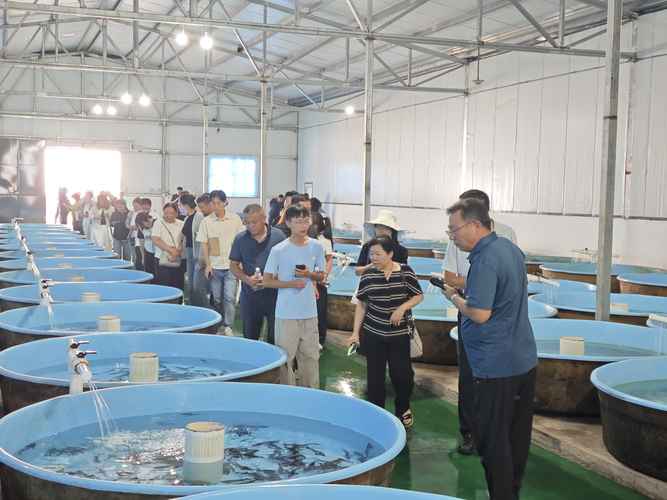2025年水产养殖行业趋势如何？-第1张图片-宁夏农业信息网