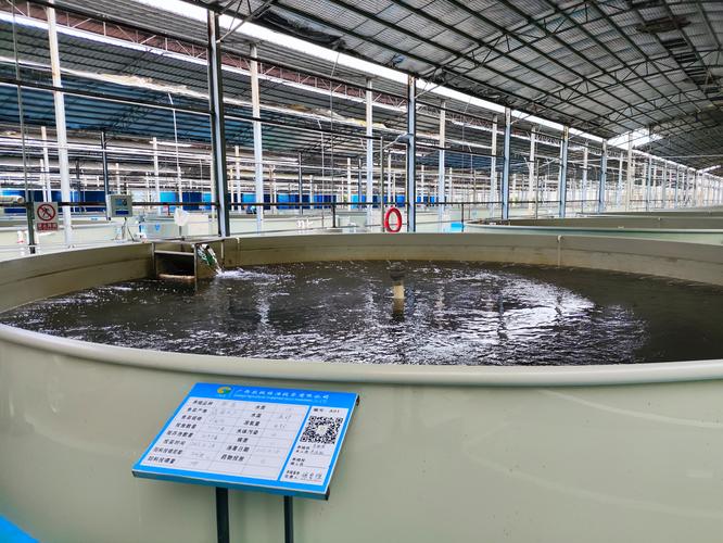 2025年水产养殖行业趋势如何？-第3张图片-宁夏农业信息网