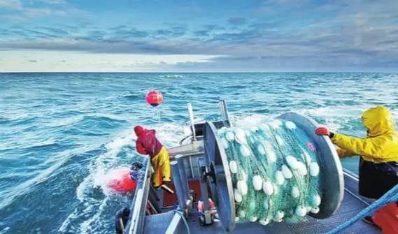 厦门远洋捕捞水产公司主营哪些产品？-第1张图片-宁夏农业信息网