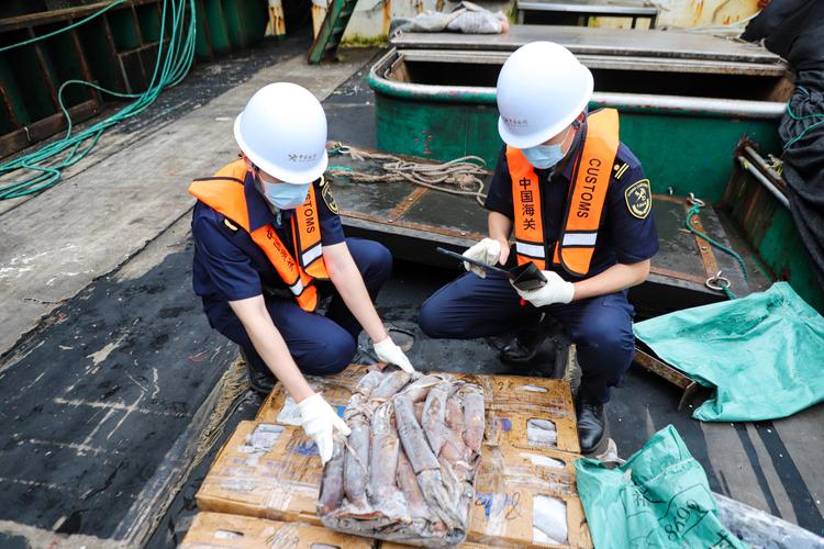 厦门远洋捕捞水产公司主营哪些产品？-第2张图片-宁夏农业信息网