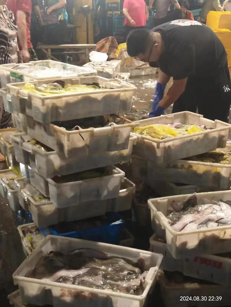 重庆渔人码头水产批发哪里买最新鲜？-第2张图片-宁夏农业信息网