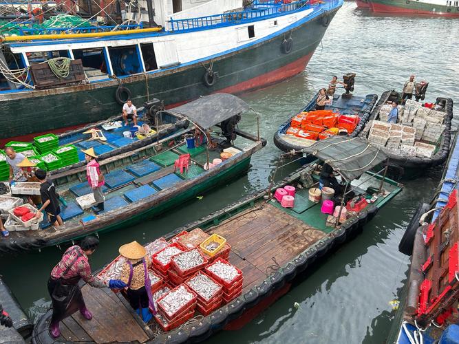 重庆渔人码头水产批发哪里买最新鲜？-第3张图片-宁夏农业信息网