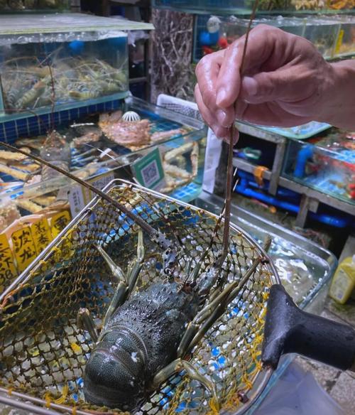 广州黄沙水产市场怎么拿货？-第2张图片-宁夏农业信息网