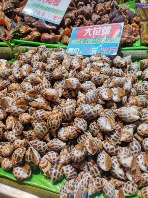 花螺品种有哪些？-第1张图片-宁夏农业信息网