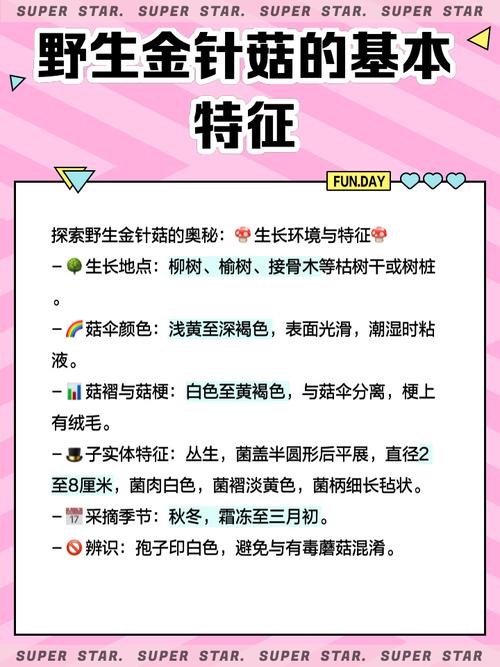 金针菇有哪些常见栽培品种？-第3张图片-宁夏农业信息网