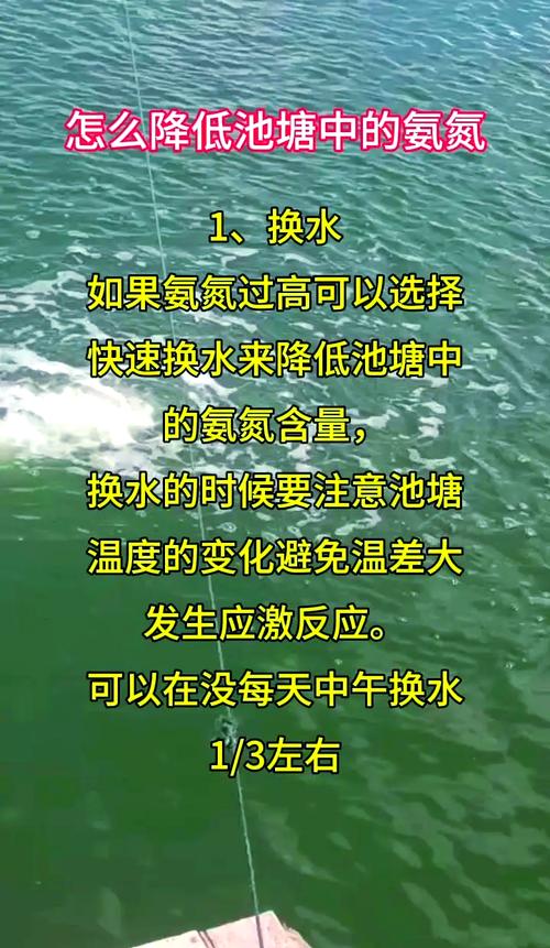 水产养殖高温缺氧,原因究竟有哪些?-第3张图片-宁夏农业信息网 水产养殖高温缺氧,原因究竟有哪些?-第3张图片-宁夏农业信息网