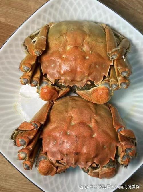 阳澄湖水产市场哪里有?-第3张图片-宁夏农业信息网 阳澄湖水产市场哪里有?-第3张图片-宁夏农业信息网