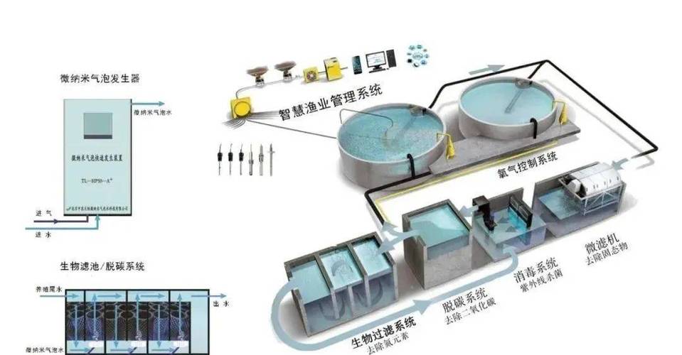 水产养殖用水排水有何核心要求？-第2张图片-宁夏农业信息网