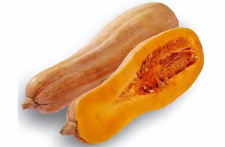 南瓜品种哪里最好？-第3张图片-宁夏农业信息网