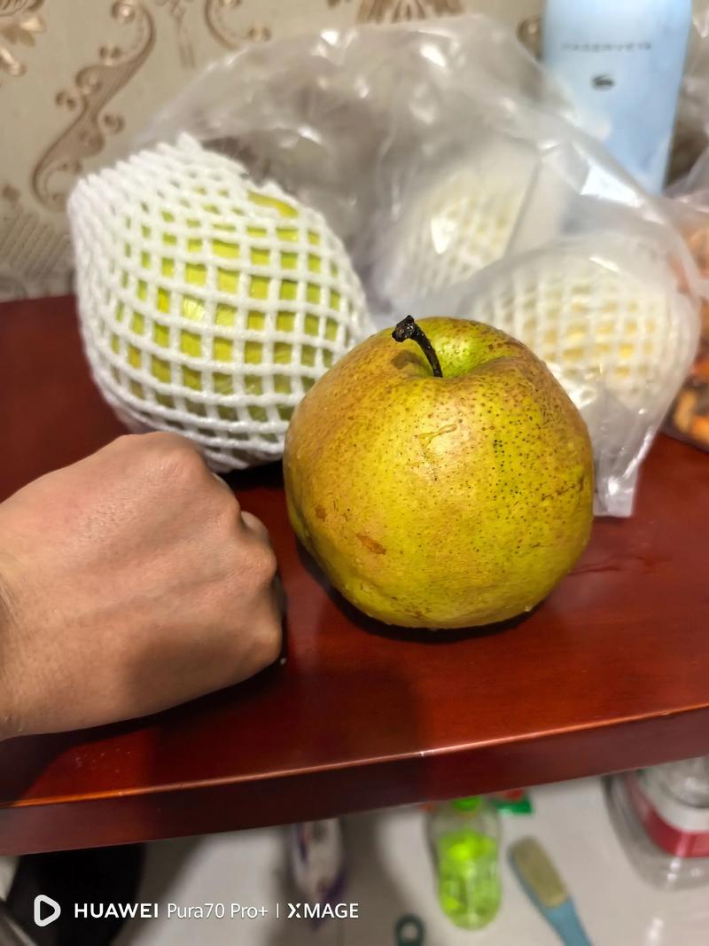好大个的梨是什么品种-第1张图片-宁夏农业信息网