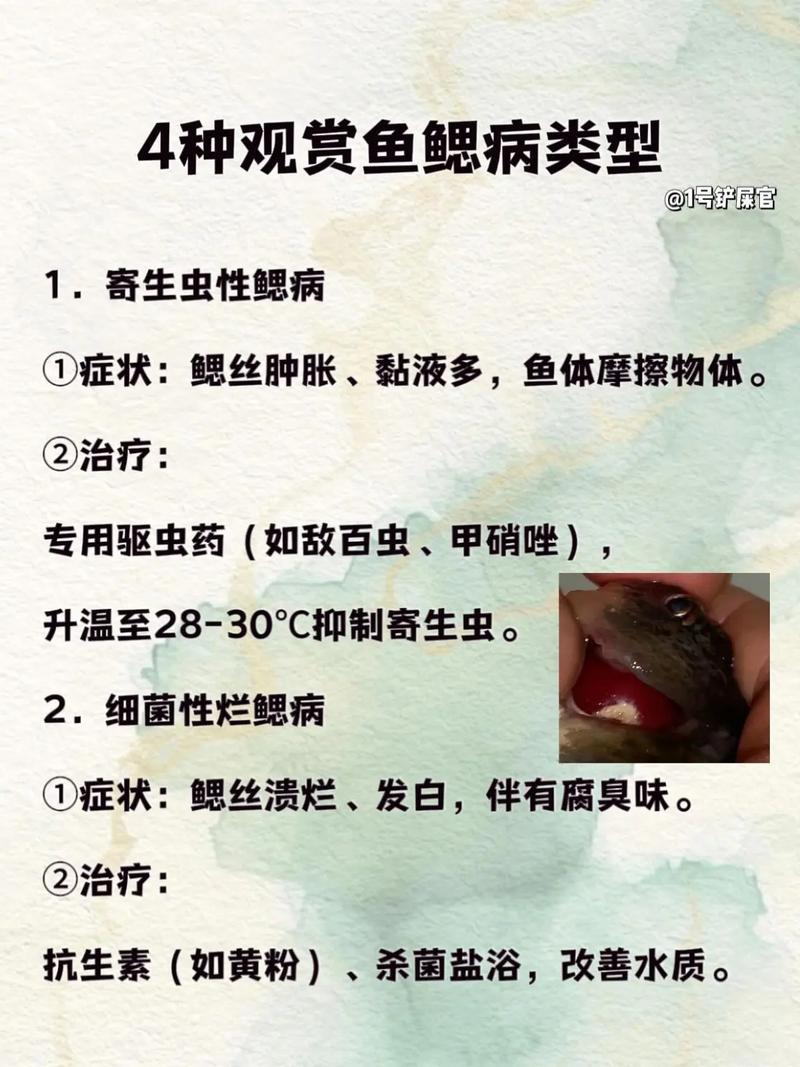 水产病害治疗有何独特难点？-第2张图片-宁夏农业信息网
