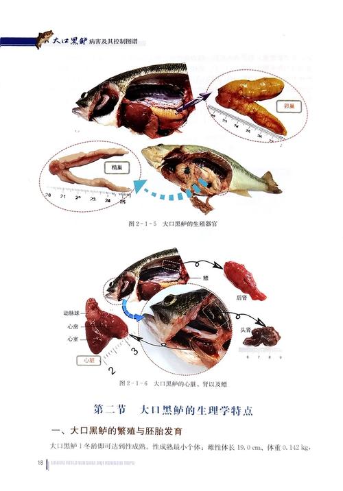水产病害治疗有何独特难点？-第3张图片-宁夏农业信息网