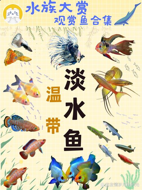 热带鱼淡水品种到底有多少种？-第2张图片-宁夏农业信息网