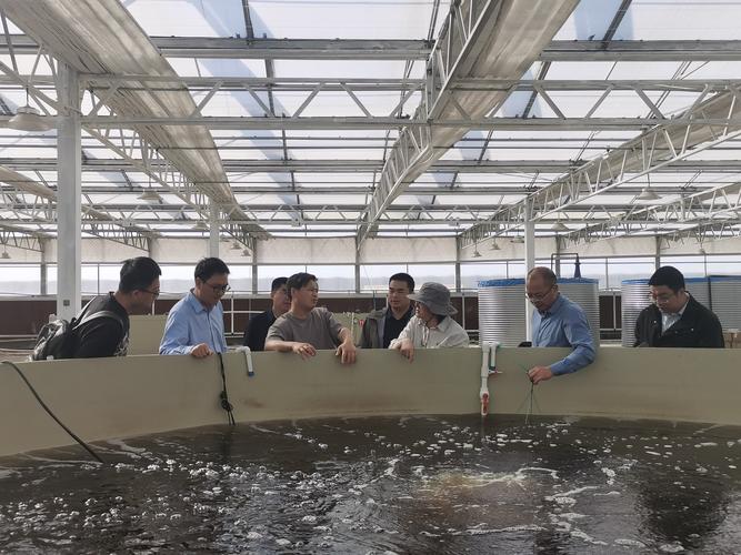 科技如何赋能水产养殖？-第1张图片-宁夏农业信息网