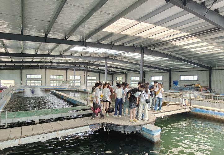 科技如何赋能水产养殖？-第2张图片-宁夏农业信息网