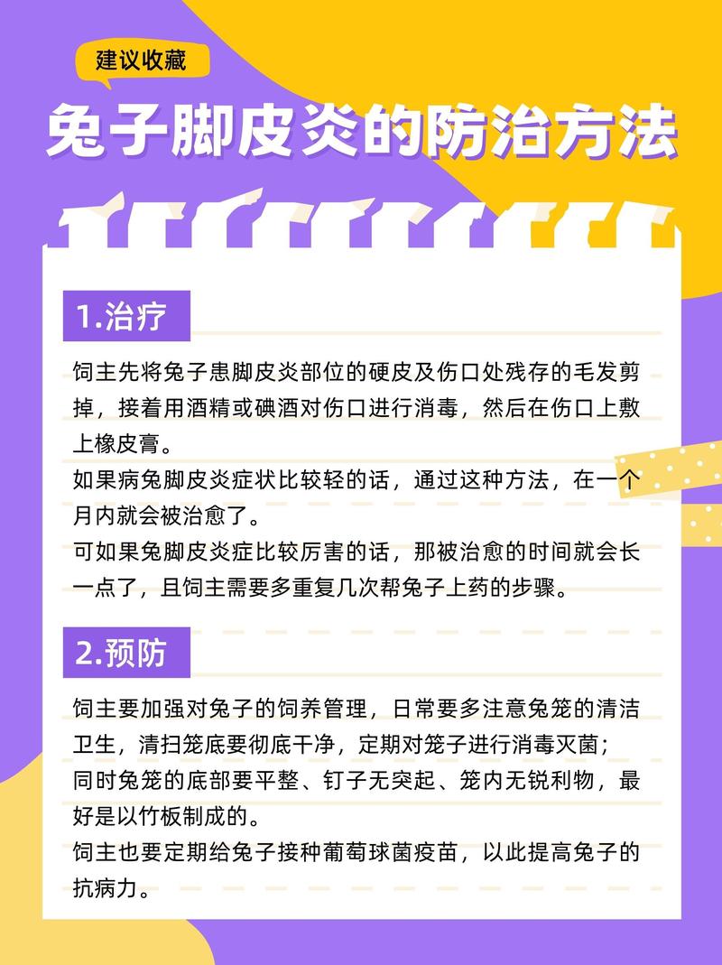 兔子如何预防与治疗疾病？-第1张图片-宁夏农业信息网