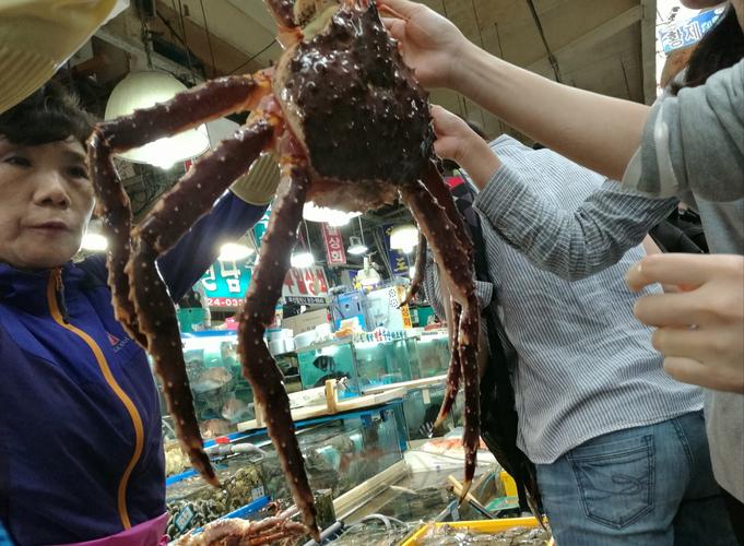 韩国水产市场图片大全-第3张图片-宁夏农业信息网