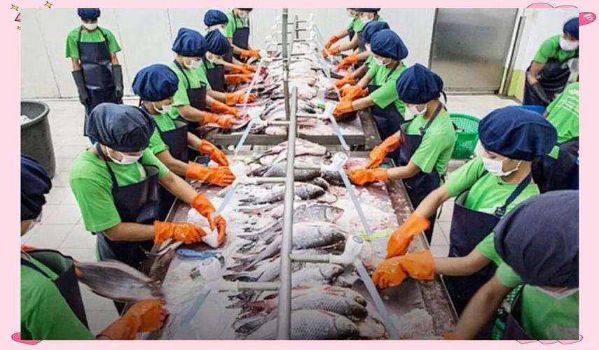 缅甸中国水产企业地址有哪些？-第2张图片-宁夏农业信息网