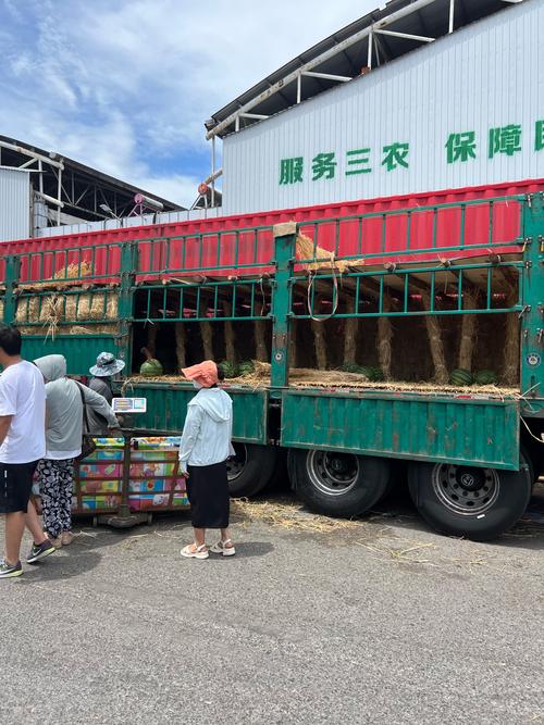 宜昌农用车销售市场现状如何？-第2张图片-宁夏农业信息网