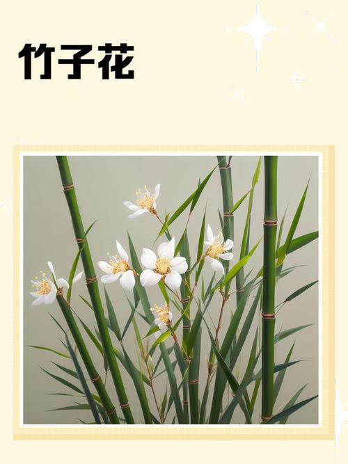 竹子究竟有多少品种？-第1张图片-宁夏农业信息网