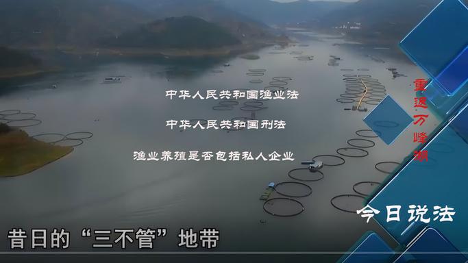 如何防止水产养殖导致湖泊萎缩？-第1张图片-宁夏农业信息网